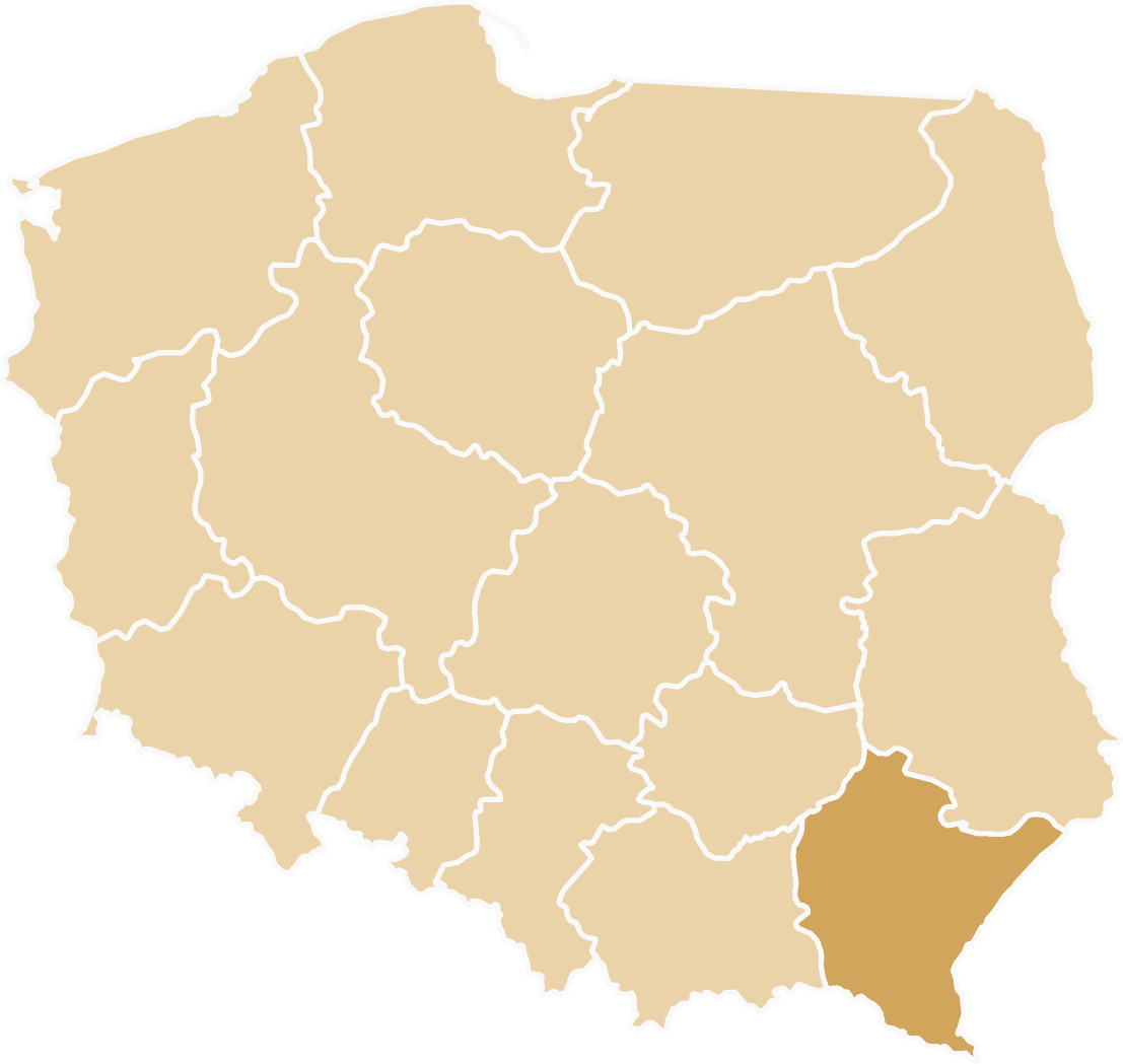 Tiry zastępcze dostępne w województwie podkarpackim - Rzeszów, Przemyśl, Stalowa Wola