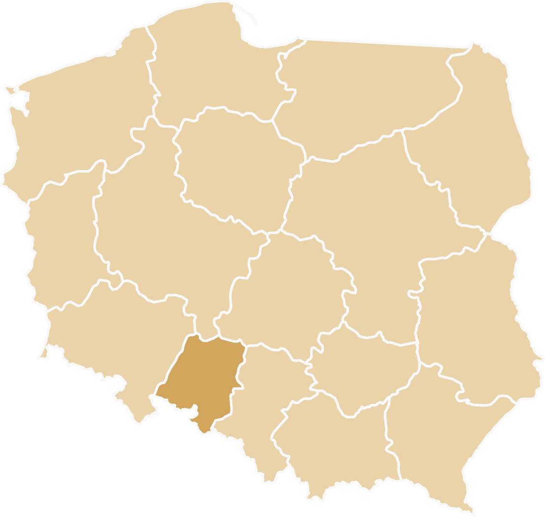 Tiry zastępcze dostępne w województwie opolskim - Opole, Kędzierzyn-Koźle, Kluczbork