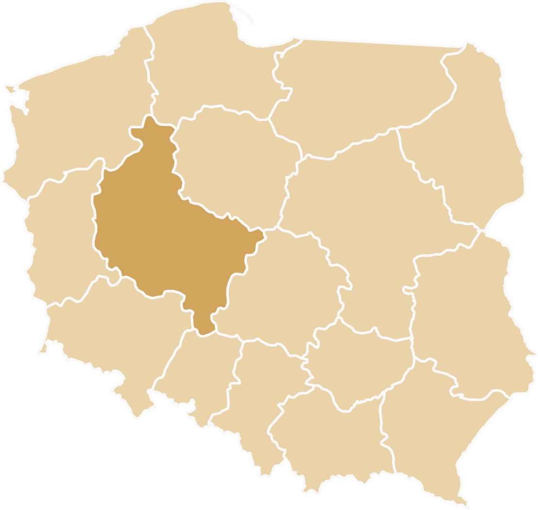 Tiry zastępcze dostępne w województwie wielkopolskim - Poznań, Kalisz, Konin