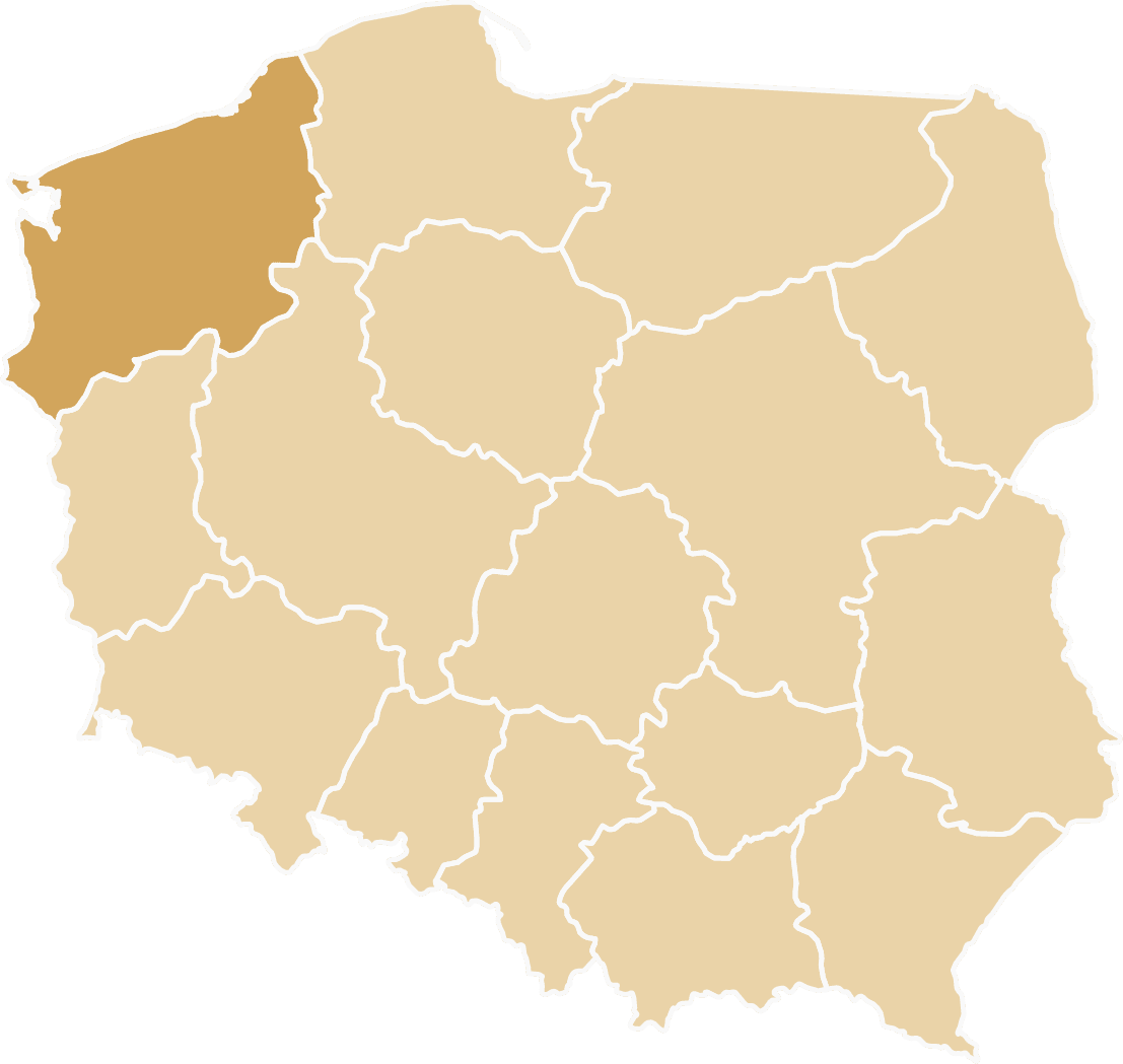 Tiry zastępcze dostępne w województwie zachodniopomorskim - Szczecin, Koszalin, Świnoujście